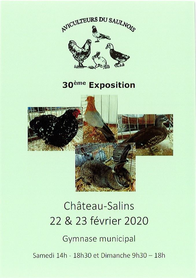 22-02-2020-chateau_expo