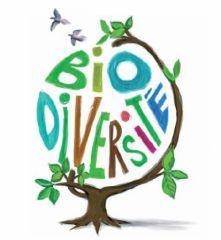 ob_879b77_0-logo-dd-biodiversite-agri-s