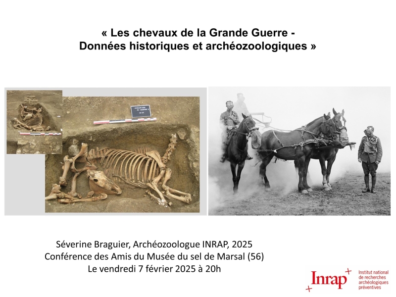 Conférence_chevaux_guerre