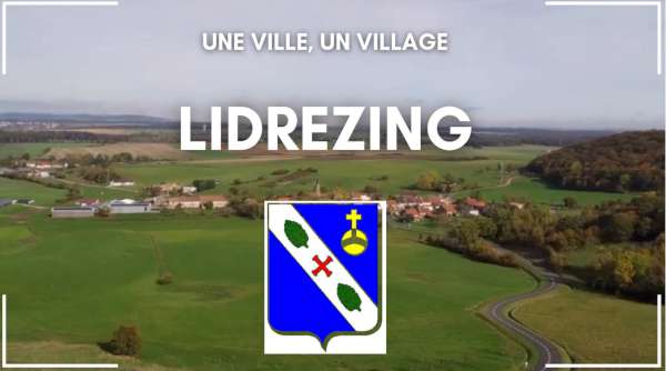 lidrezing 600