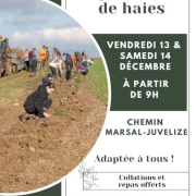 Plantation de haies entre Marsal et Juvelize